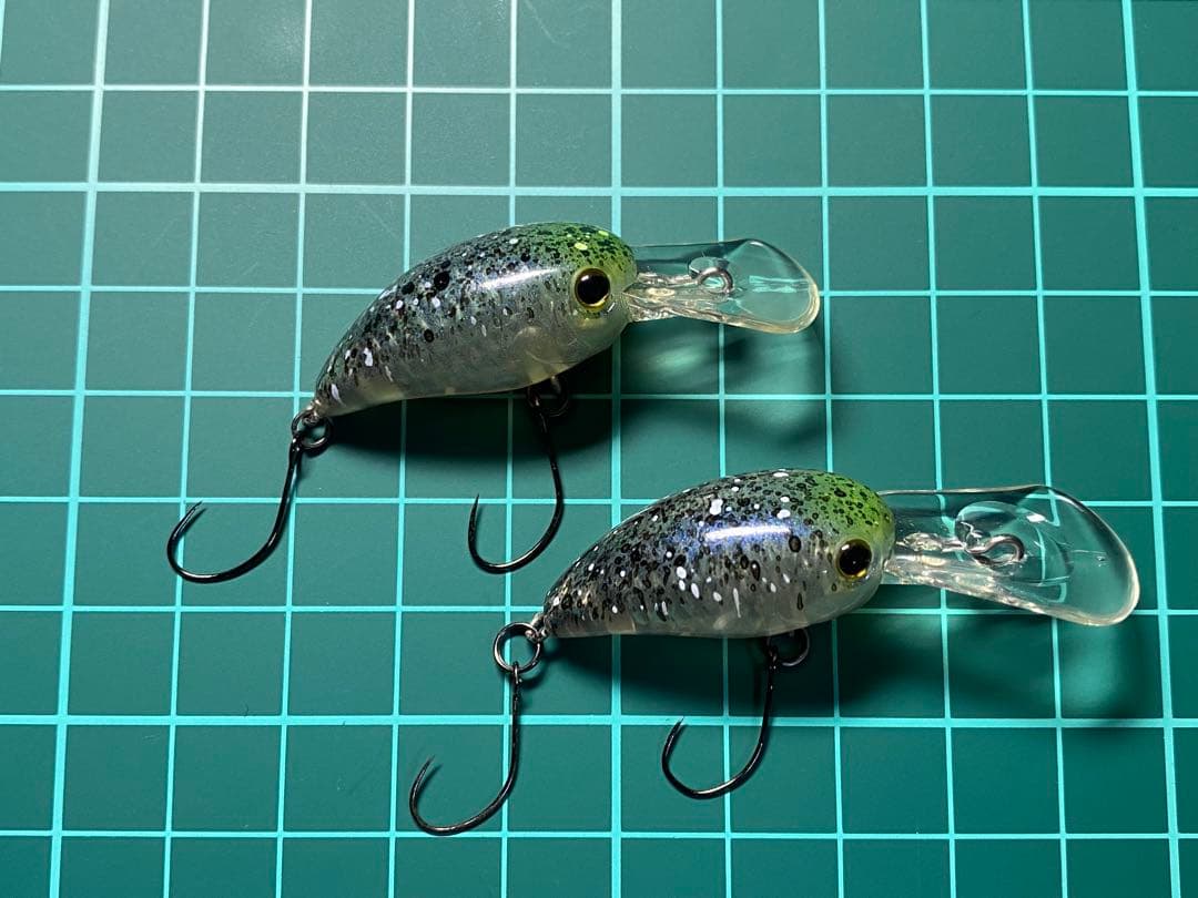 ティモン　パニクラ　オオツカオリカラ　恵比寿　激レア　DR MR