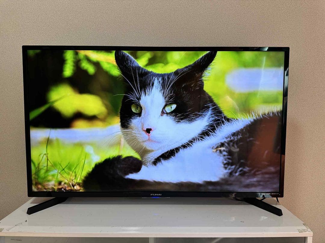 20年製 フナイ FL-43U4020 4Kチューナー43V液晶テレビ