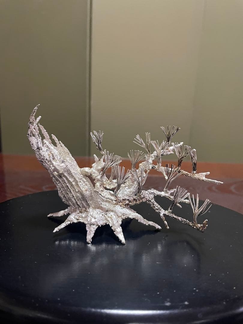 純銀製　松　ガラスケース付き