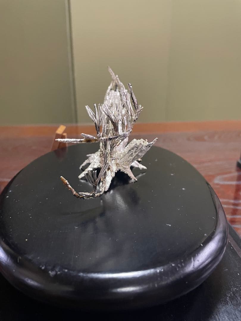 純銀製　松　ガラスケース付き