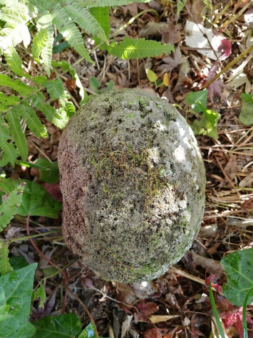 4部式五輪塔（室町時代）