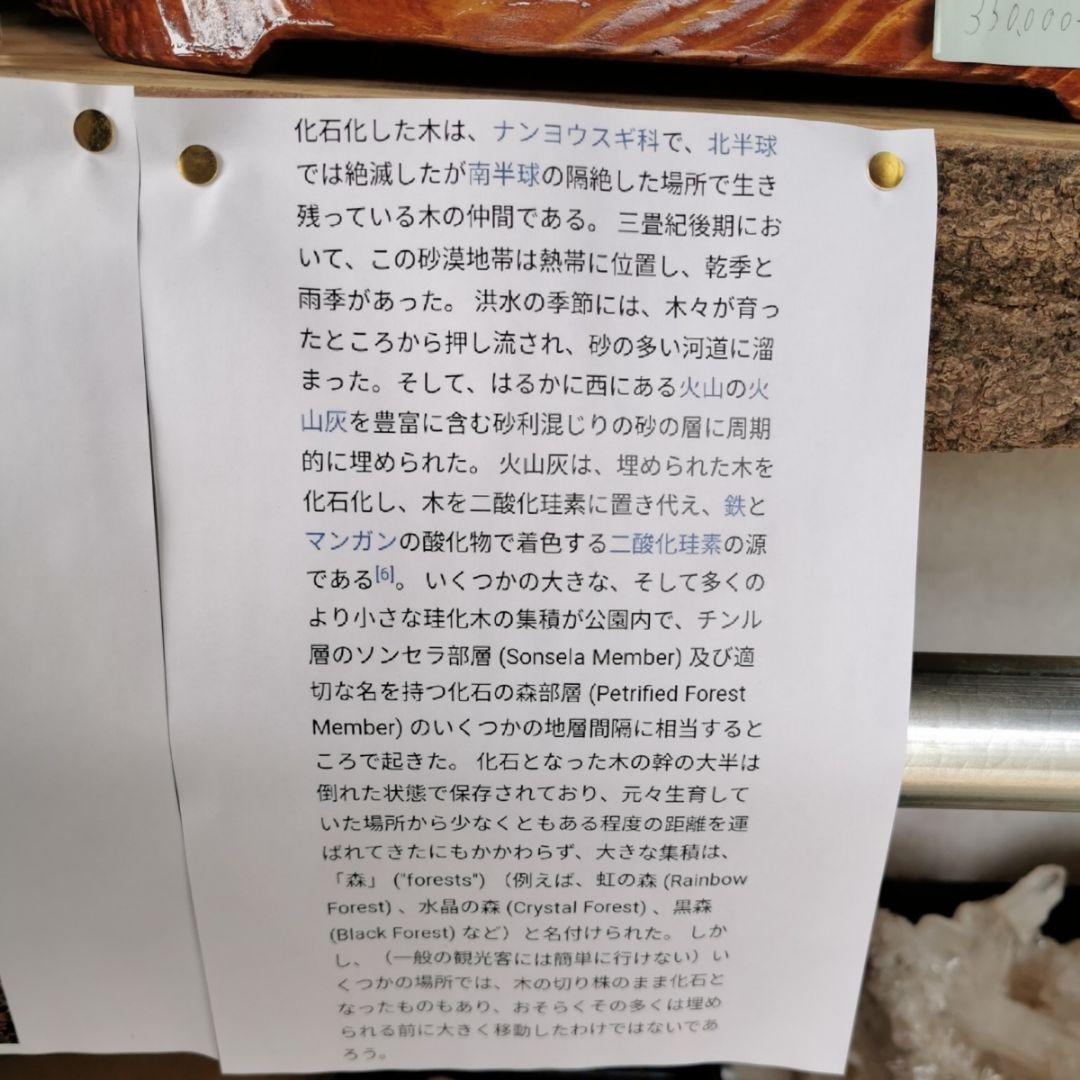 アリゾナ産　珪化木　木化石　鑑賞石　石　置物　オブジェ　インテリア