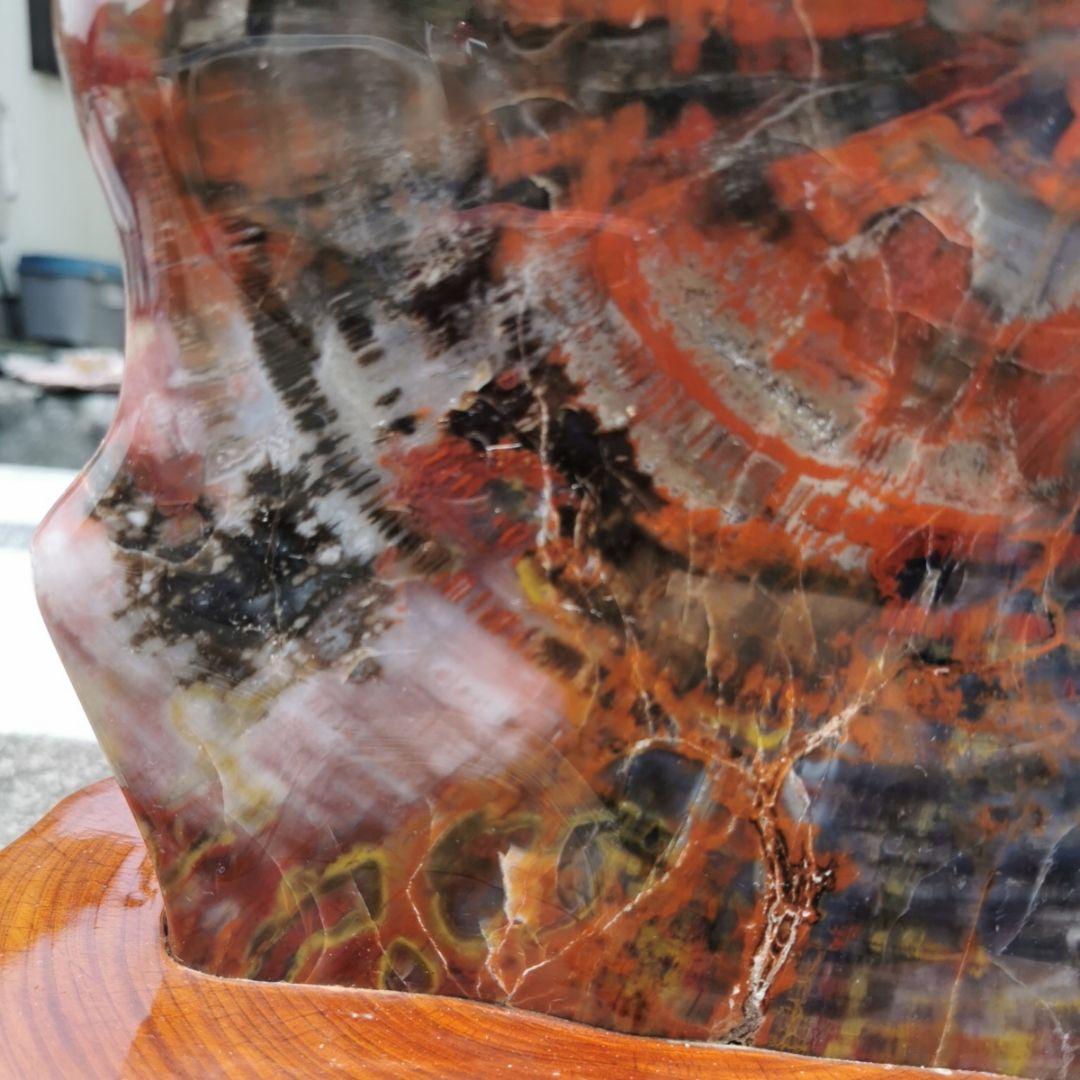 アリゾナ産　珪化木　木化石　鑑賞石　石　置物　オブジェ　インテリア