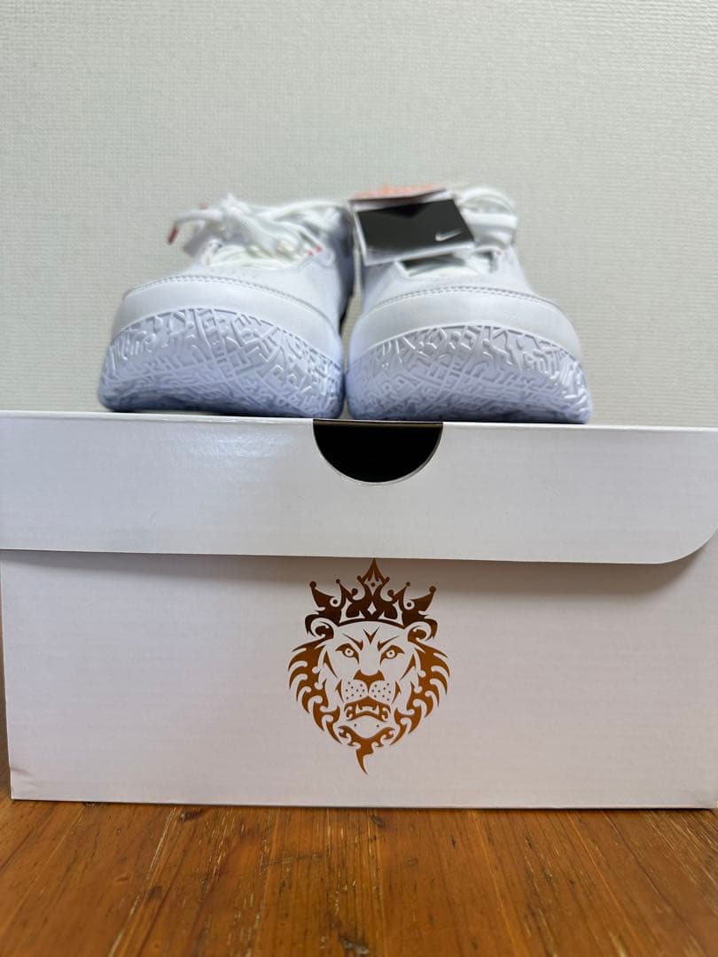 新品未使用NIKE LEBRON NXXT GEN AMPD EP28.5cm②