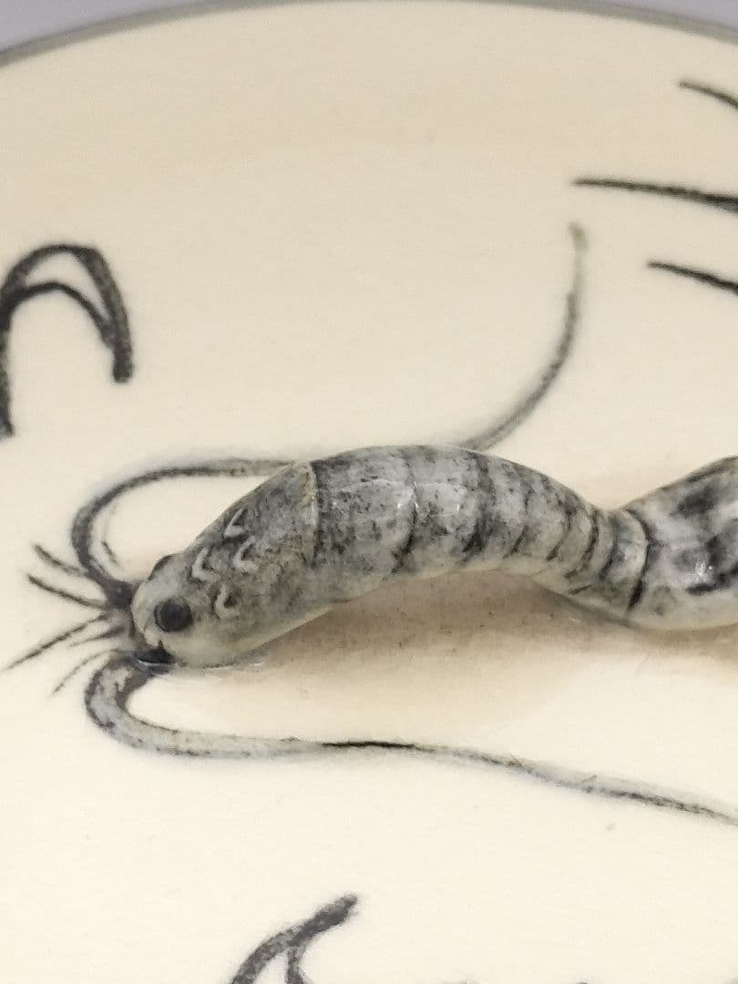 c254 【新品・未使用】水指 安南写 海老摘 龍ノ絵 西村徳泉 木箱 茶道具