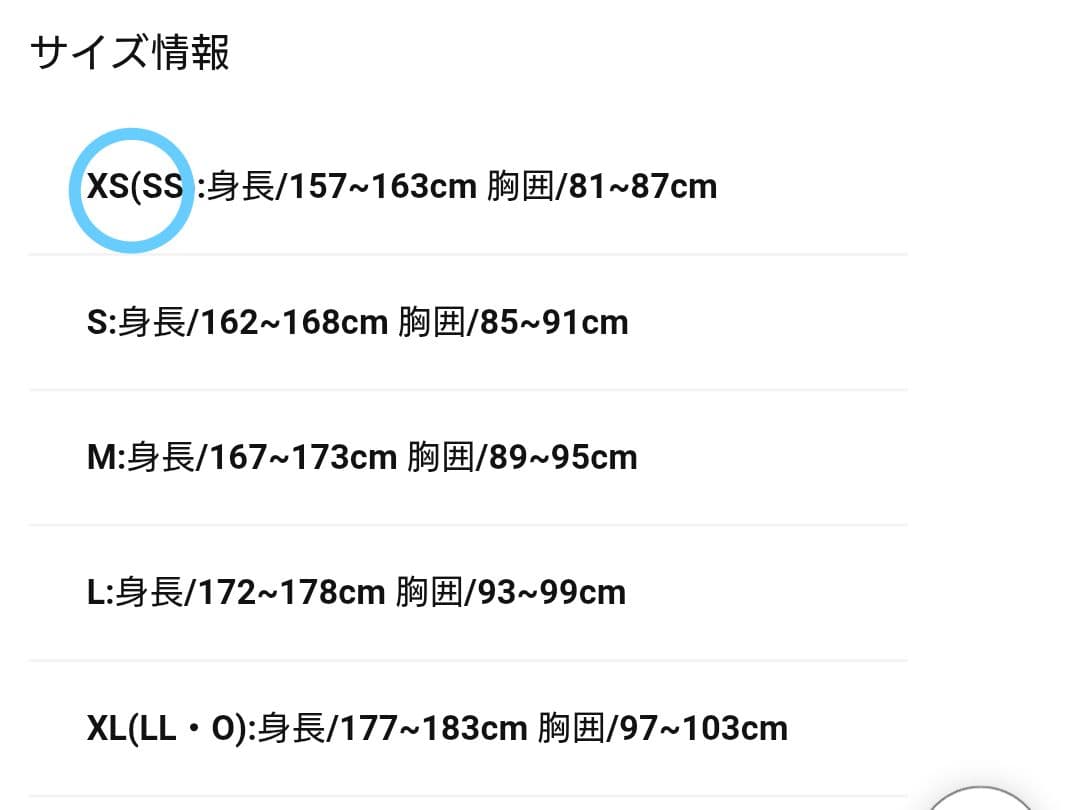 JOJOの奇妙な冒険 ウィンドジャケット xs 三部　ジョジョ　アルペン