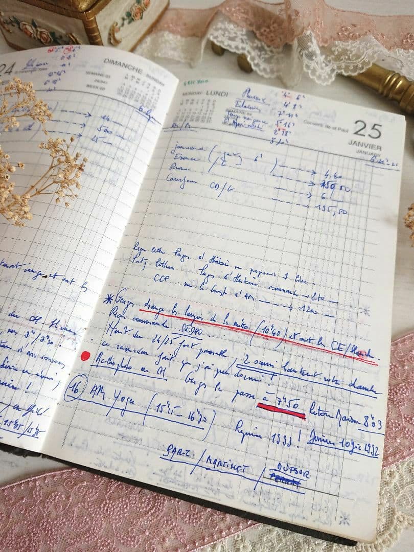 【だいず さま専用】461＋458＋459、３冊おまとめフランス Agenda