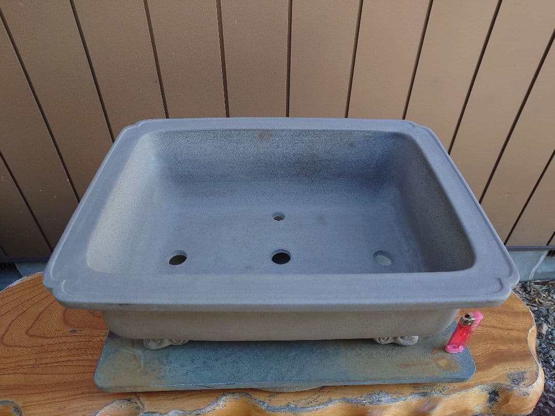 盆栽　鉢　佳山　幅48.5cm