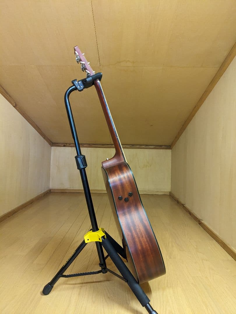 YAMAHA　FGX5