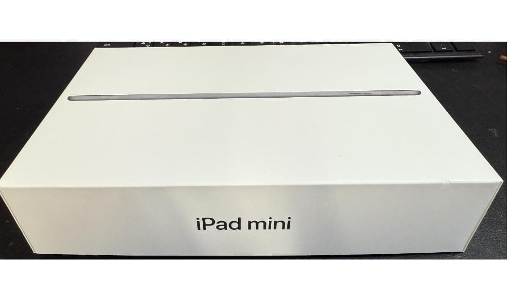 iPad Mini 第5世代スペースグレー 美品