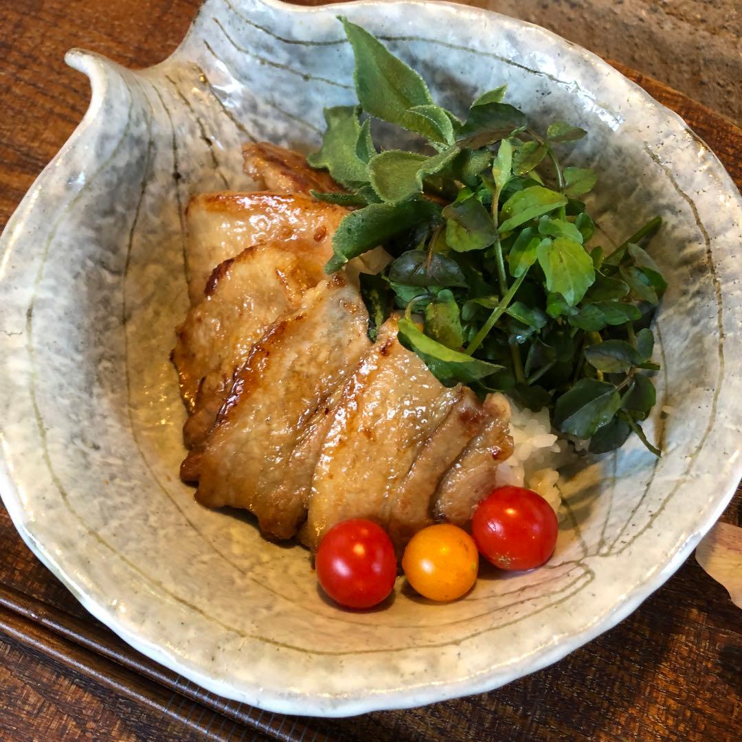 うつわ彩りセット