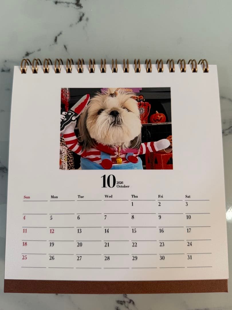 シーズーちくわの卓上カレンダー【オリジナル】