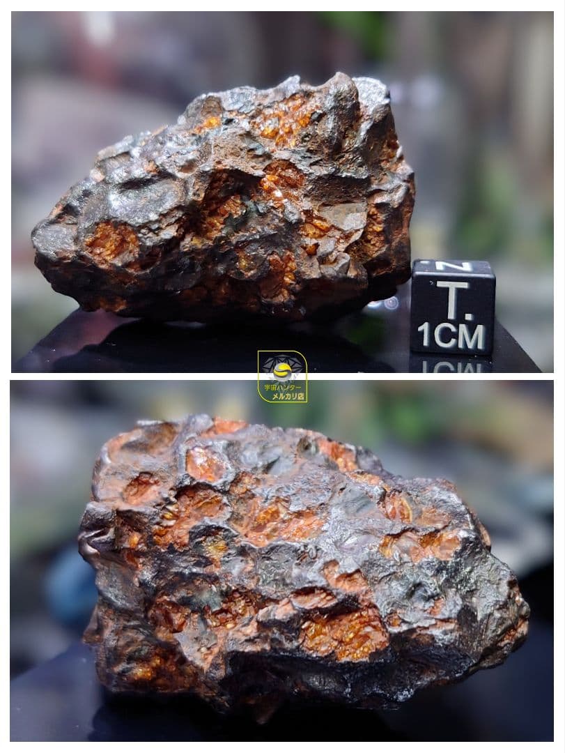 隕石 イミラック パラサイト 126.4g Imilac ⭐⭐⭐