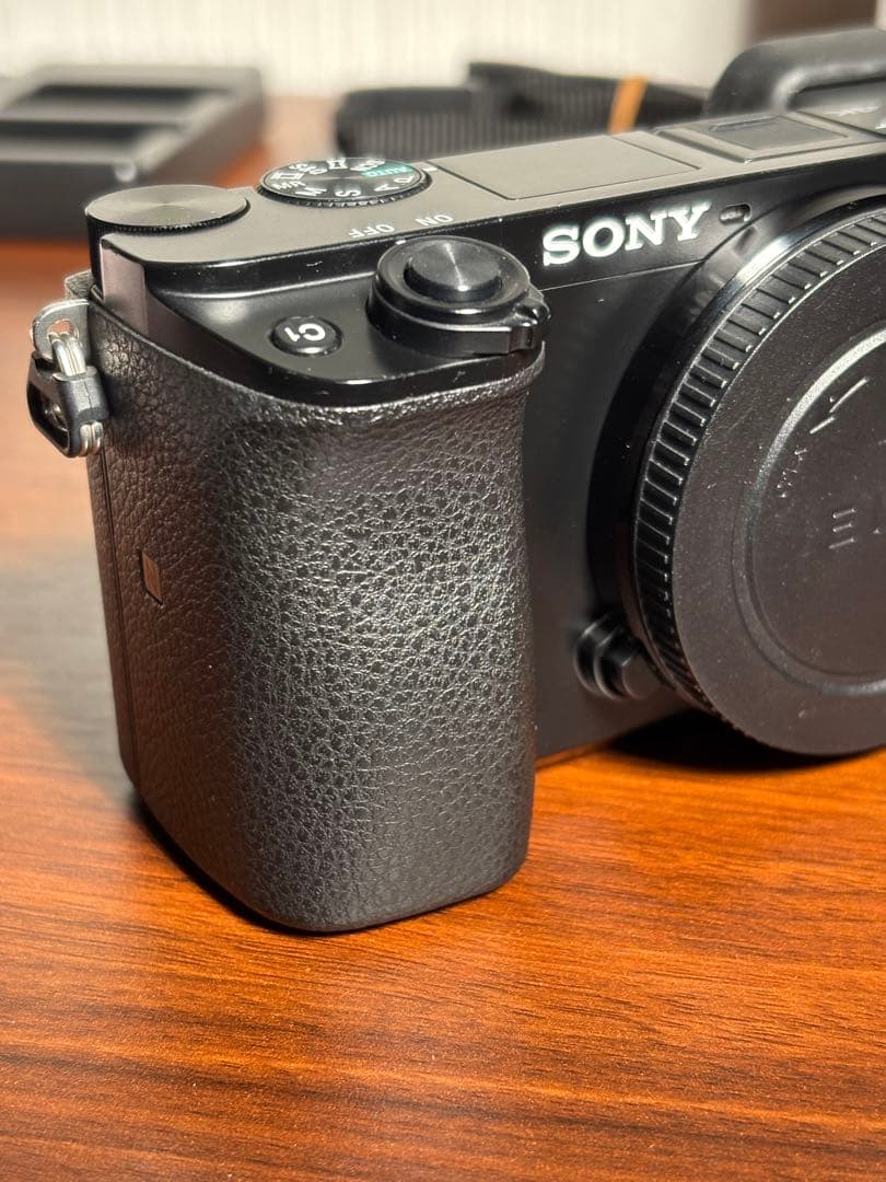 SONY ミラーレスカメラα6100本体+ズームレンズセット