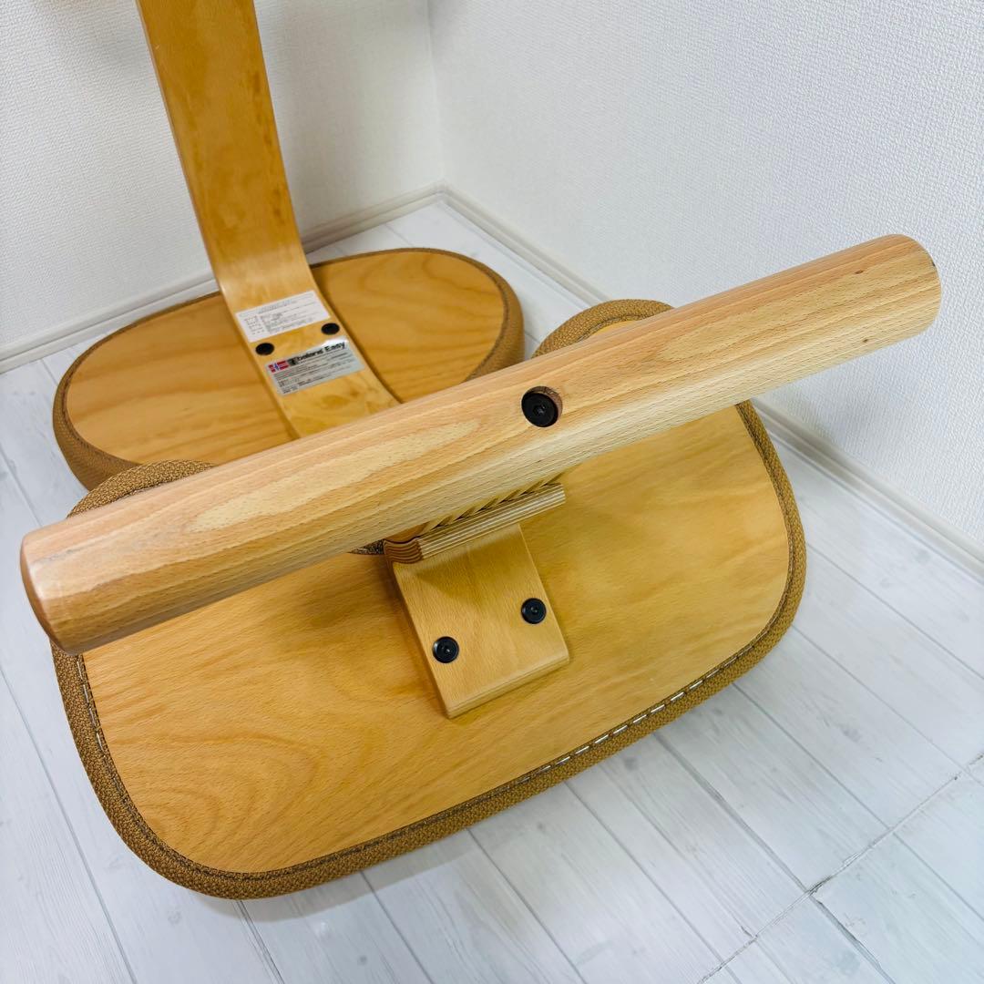 サカモトハウス balans Easy バランスイージー バランスチェア