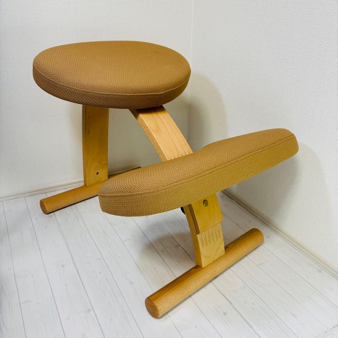 サカモトハウス balans Easy バランスイージー バランスチェア