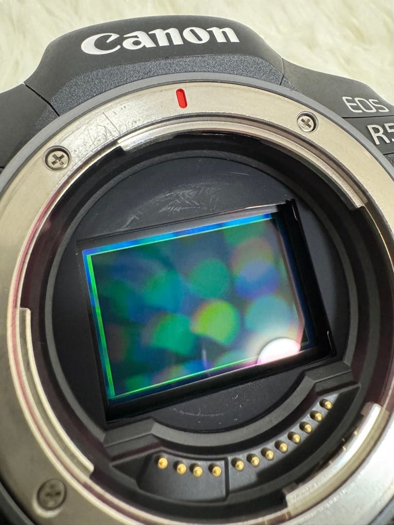 Canon EOS R5 本体 +バッテリー