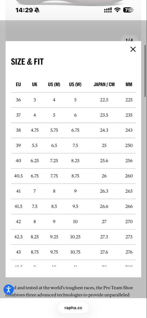 ウェア Rapha RCC PROTEAM SHOES 45.5