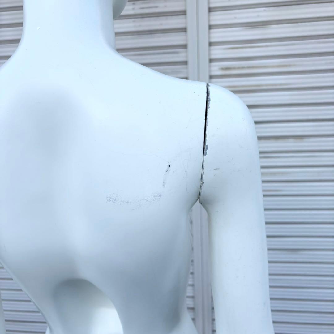 パールイデア パール マネキン 全身 トルソー レディース