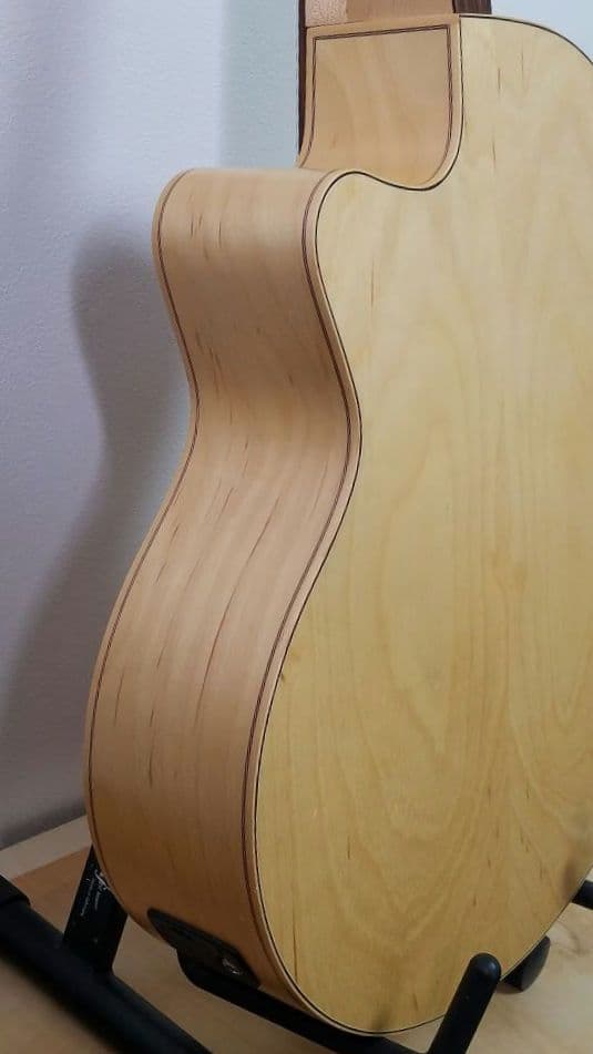 Seagull エレアコ ギター ハードケース入り