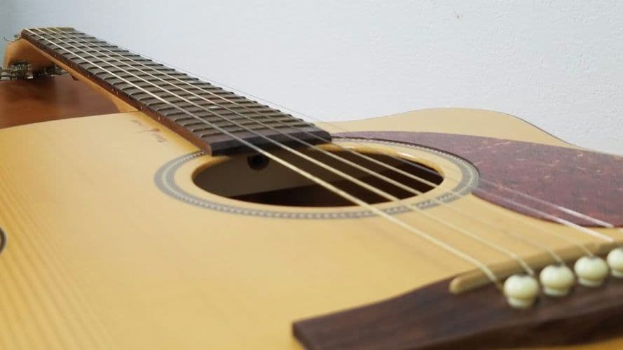 Seagull エレアコ ギター ハードケース入り