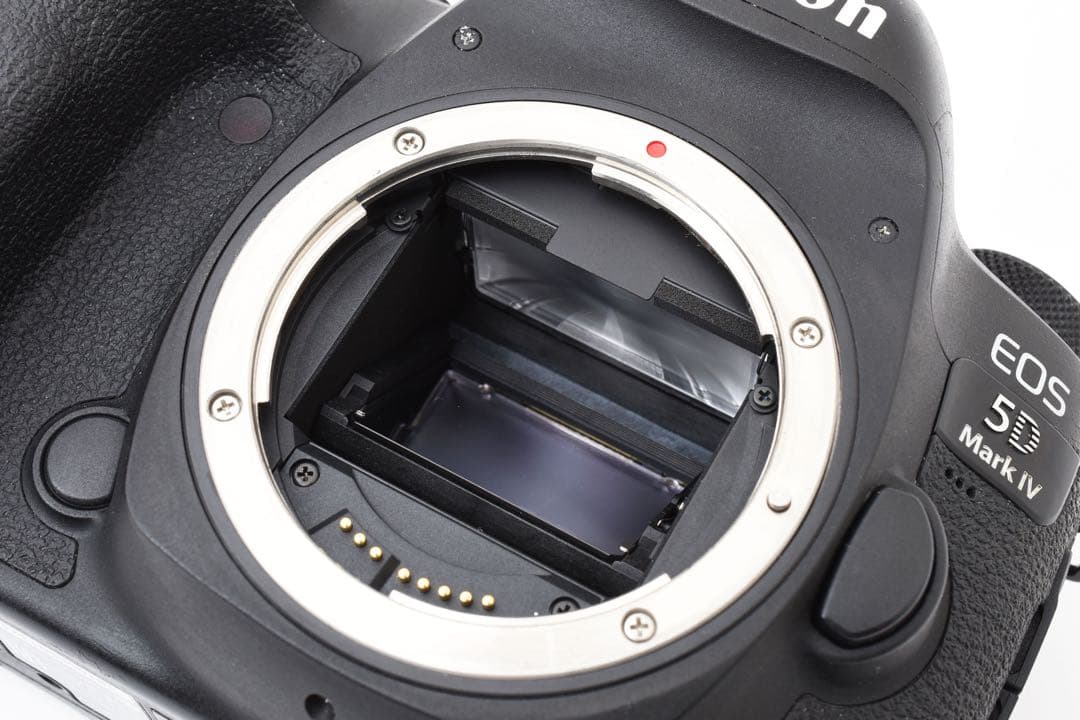 一眼レフカメラ/Canon EOS 5D Mark IV標準&望遠レンズセット