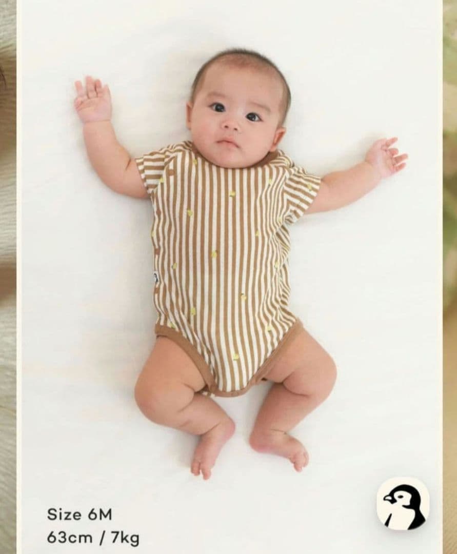 KONNY コットンメッシュボディスーツ 7点セット 12M