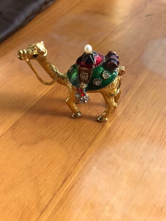エジプトのグルデンラクダ