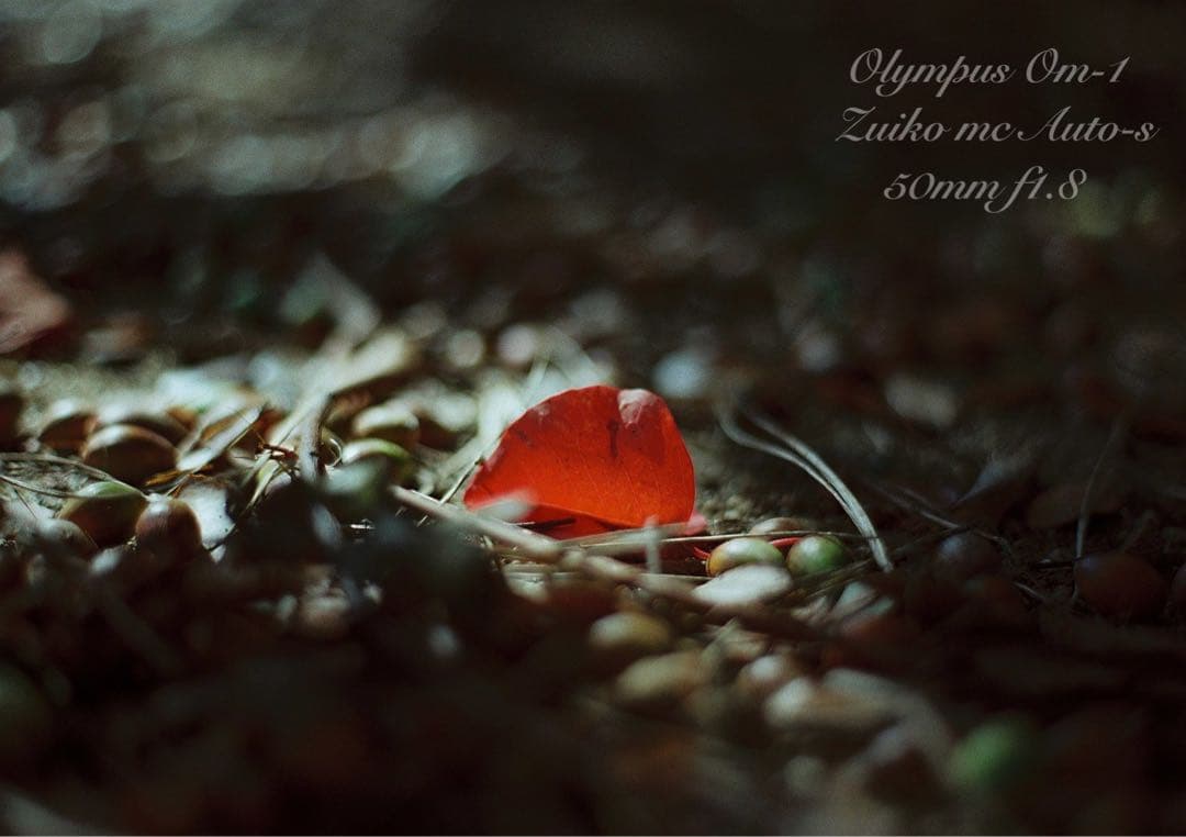 ★超美品！完動品★OLYMPUS OM-1（ブラック）作例多数★初期保証付き！