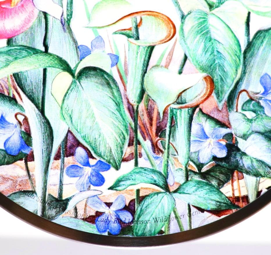 レディバード・ジョンソンワイルド・フラワーセンター ヴィンテージ ステンドグラス