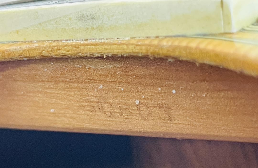 YAMAHA FG-201B 大槻ケンヂ使用モデル ビンテージ【整備品】