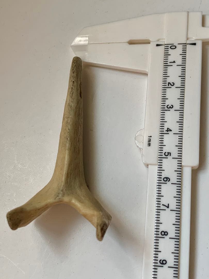 縄文時代　出土　骨角器　骨製首飾り　石器　土器　勾玉　根付　水石　魔除け　弥生