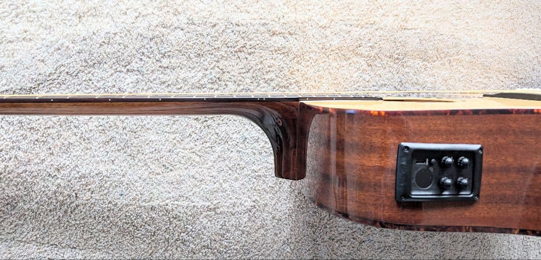 トップ単板美品★アンプ不要！リバーブやコーラスがかかる★　レコーディングキング