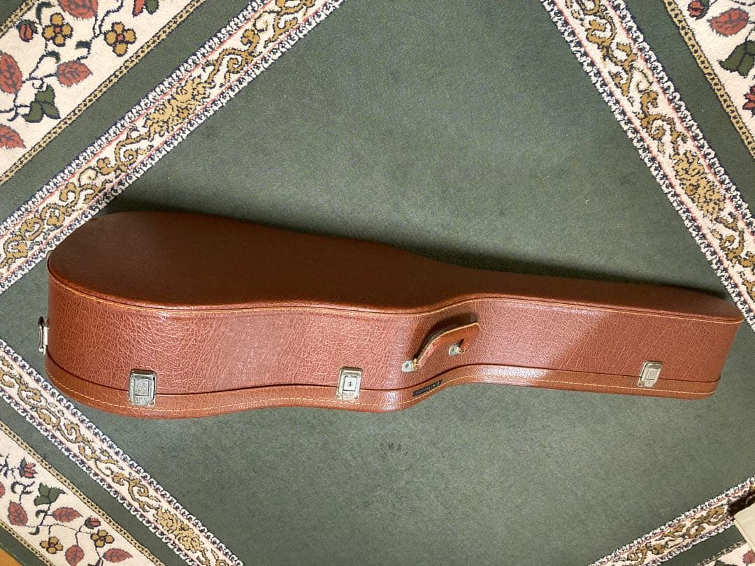 Zenon アコースティックギター スプルーストップ