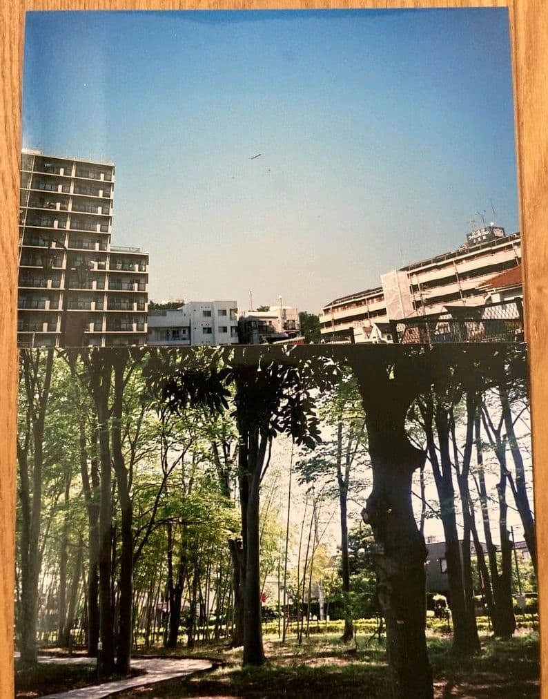 京セラ T PROOF