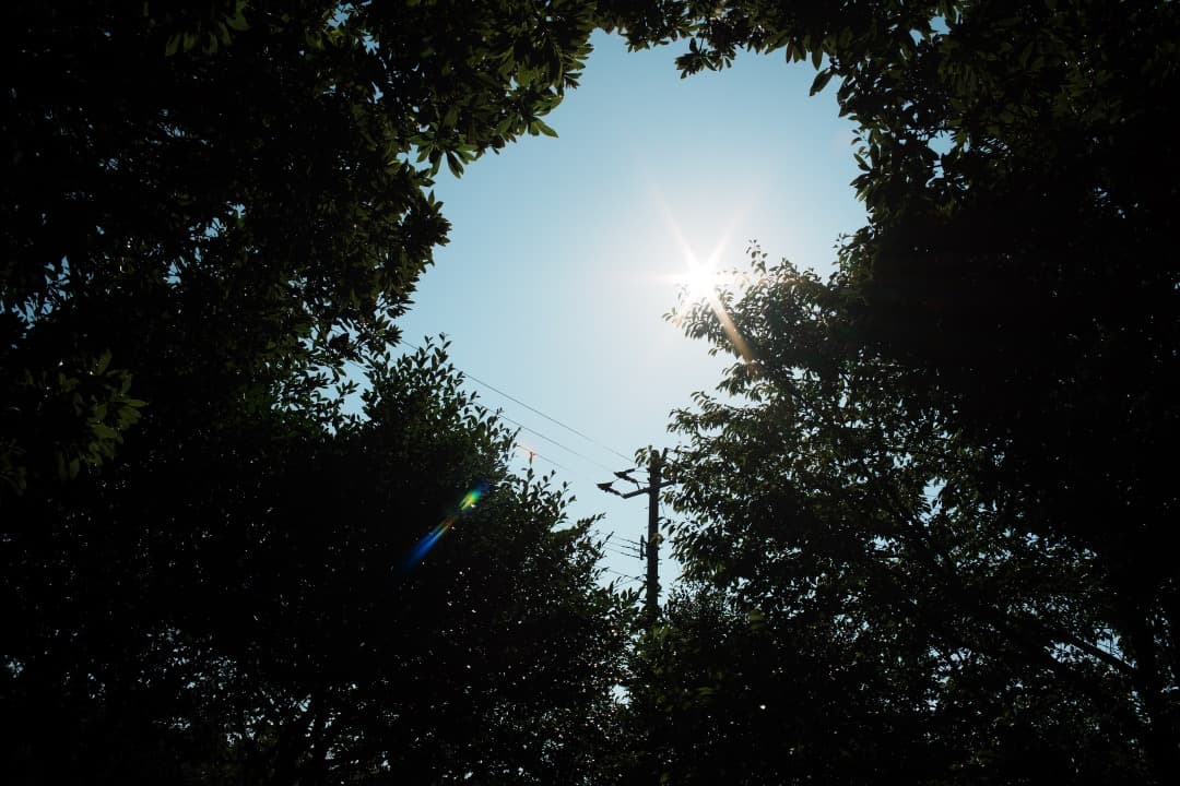 【幻のレンズ】Carl Zeiss Distagon 28mm F2 AEG