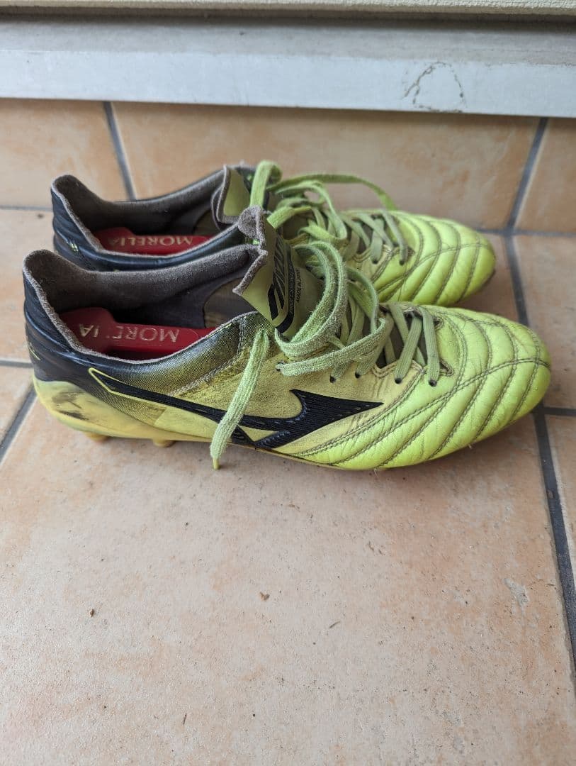 モレリアネオ2 蛍光色