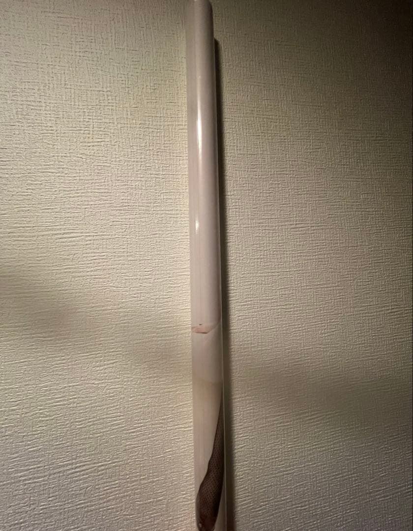 【オマケ付き】水樹奈々THE MUSEUM Ⅳ東京会場購入者限定ポスター