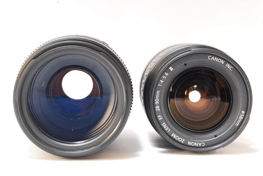 迫力の超望遠✨Canon EOS 8000D✨ダブルレンズセット Wi-Fi接続