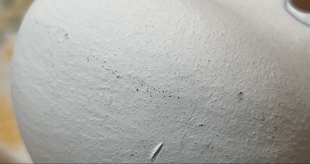 ムーミン博多人形 ムーミンとスノークのお嬢様値下げ交渉可