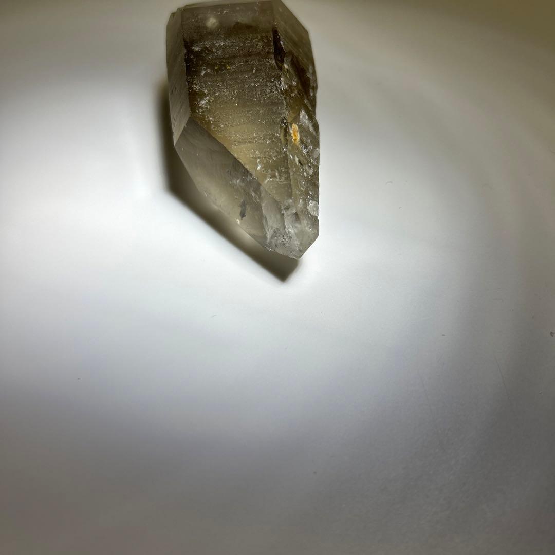 ロシアンレムリアン　スモーキー