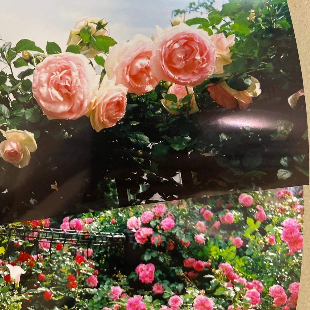 ロモ LOMO LC-A フィルムカメラ フラッシュ付 【動作確認済】 lomo