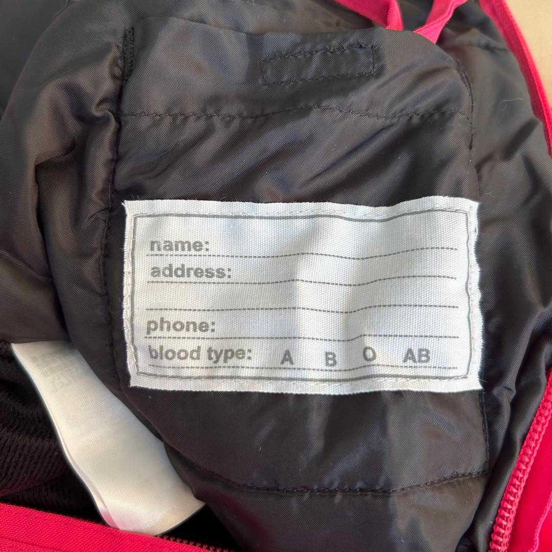 【即日配送＆送料無料】 未使用＆半額phenix スキーウェア 子ども用 150