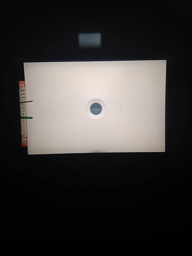 超美品 NIKON ニコン FE シルバー モルト新品交換済 M874