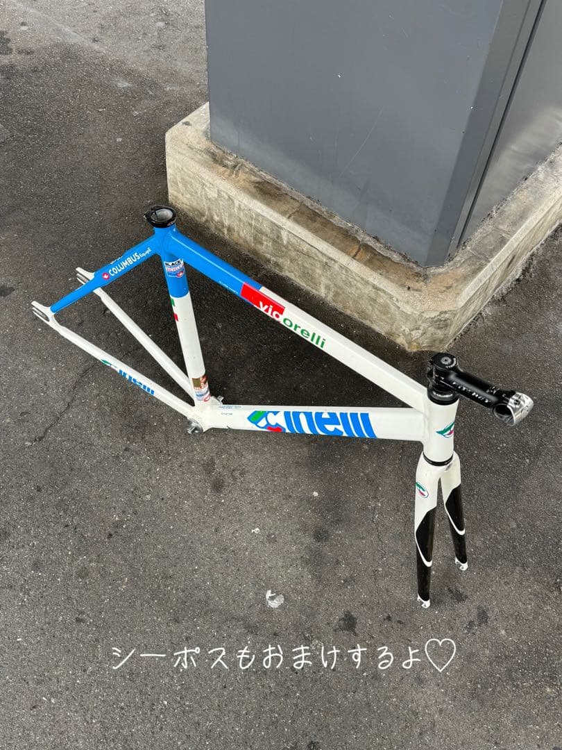 stokedvigorelli 2009 フレームセット