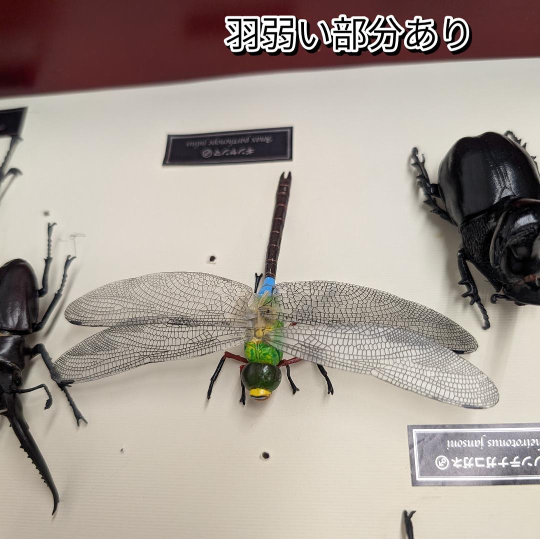デアゴスティーニ 世界の昆虫 フィギュア30体セット 現状品 コレクションBOX