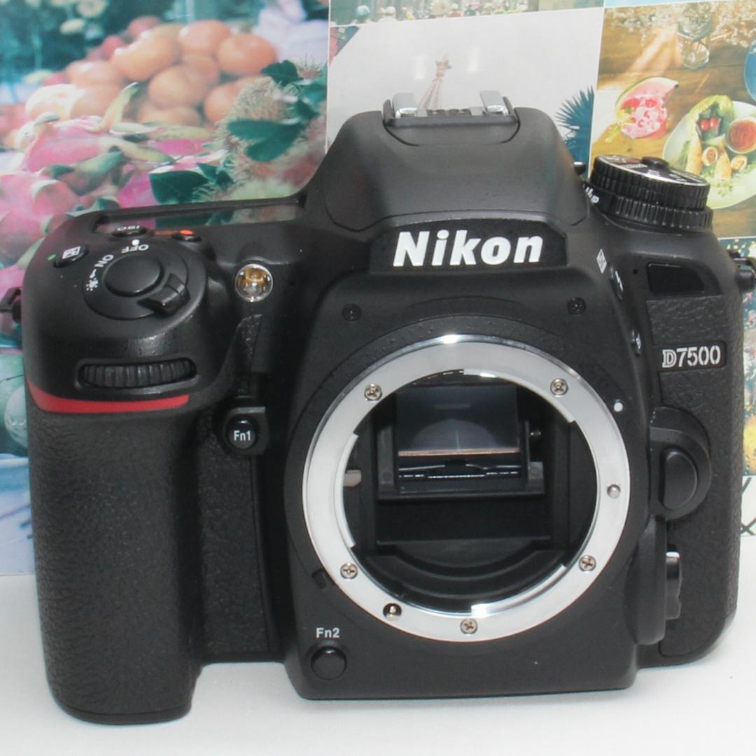 ❤️予備バッテリー&新品カメラバッグ付❤️Nikon D7500 ダブルズーム
