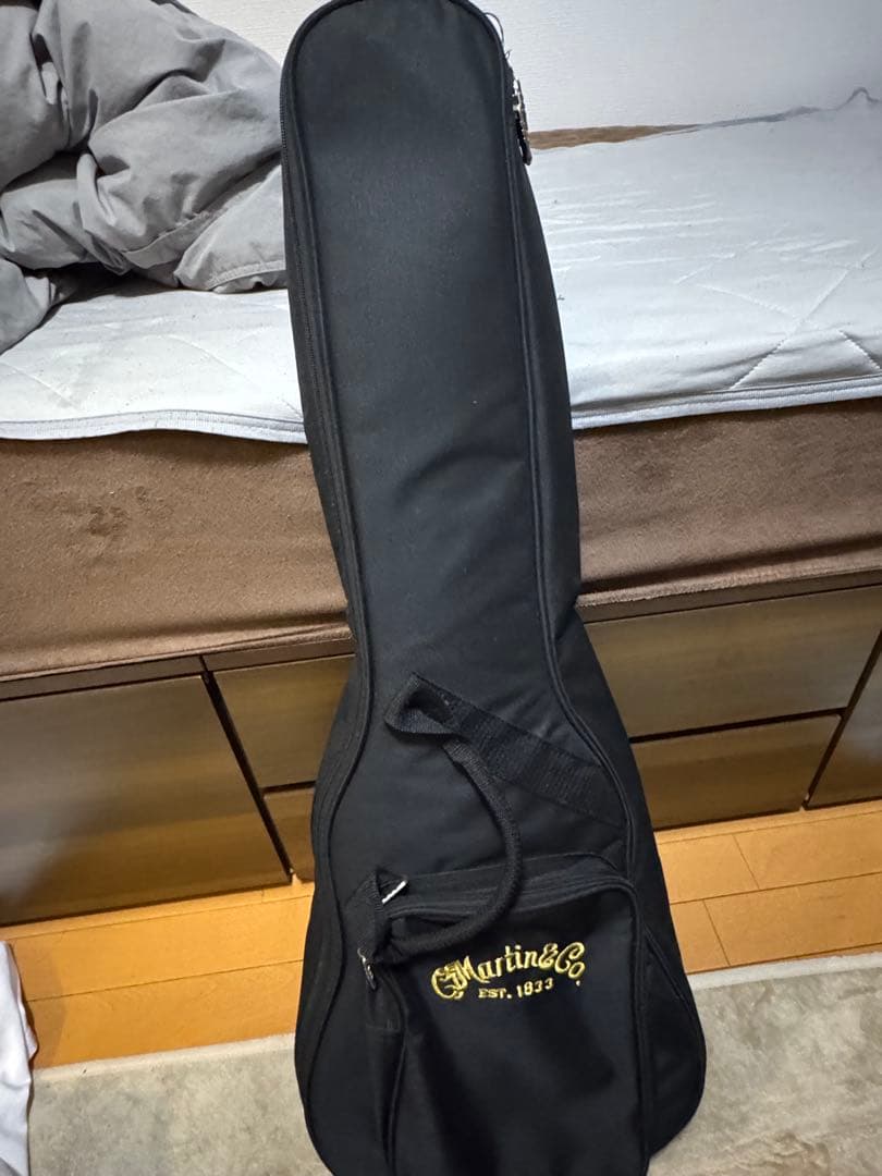 MARTIN (マーティン) LX1RE ミニエレアコ