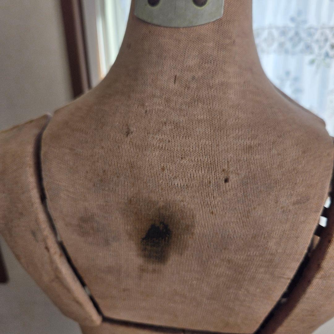 フランス　アンティーク　トルソー