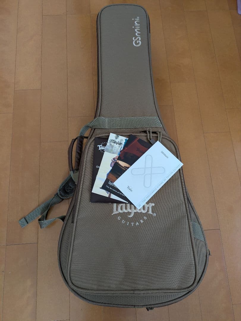 Taylor GS Mini　Mahogany【2022製】